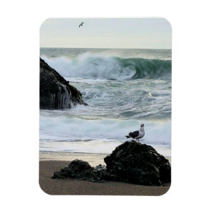 Magnet Flexible Mouette au bord de la mer