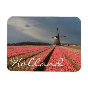 Magnet Flexible Moulin à vent avec les tulipes roses au printemps
