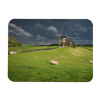 Moutons avec moulins à vent sous des nuages sombre