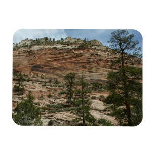 Magnet Flexible Murs de roche usés dans le parc national de Zion