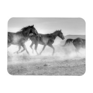 Magnet Flexible Mustang Run
