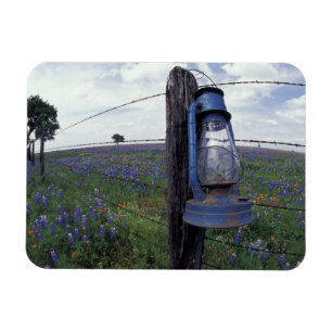 Magnet Flexible N.A., États-Unis, Texas, Llano, Lanterne bleue, Ch
