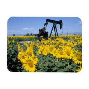 Magnet Flexible Na, USA, Colorado, tournesols, pétrole Derrick