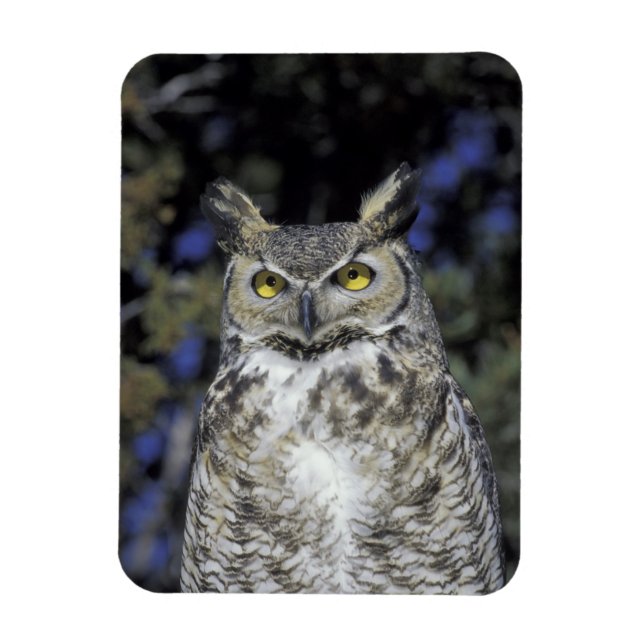 Magnet Flexible NA, USA, Nouveau-Mexique, Wildlife West Nature Par (Vertical)