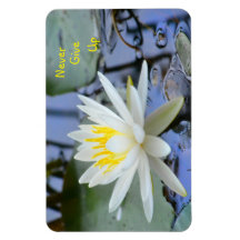 N'abandonnez jamais le lit d'eau