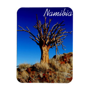 Magnet Flexible Namibie Tirool Namib Désert Paysage Kokerboom