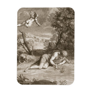 Magnet Flexible Narcisse Transformé en Fleur, 1730 (gravi)