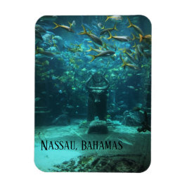 Magnet Flexible Nassau, Bahamas Atlantis