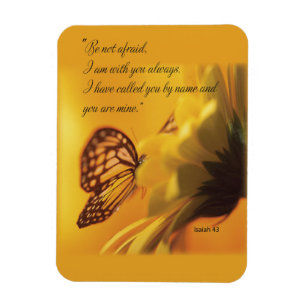 Magnet Flexible N'ayez pas peur papillon religieux sur la margueri
