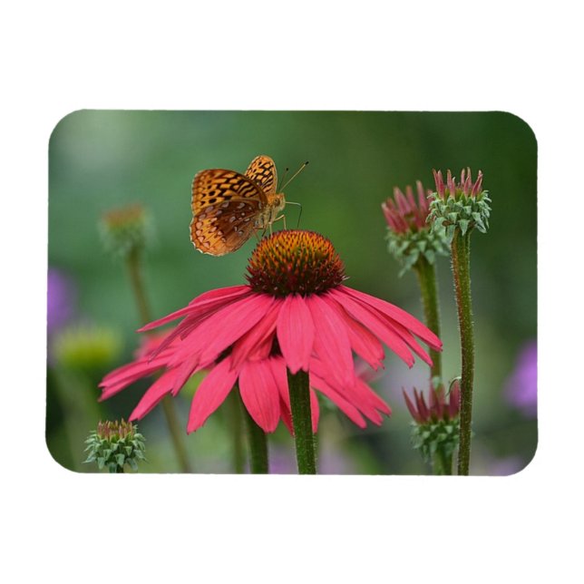 Magnet Flexible Nectar de collecte des papillons (Horizontal)