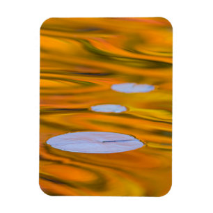 Magnet Flexible Nénuphar sur eau orange, Canada