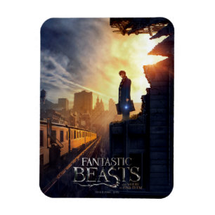 Magnet Flexible NEWT SCAMANDER™ dans un bâtiment détruit