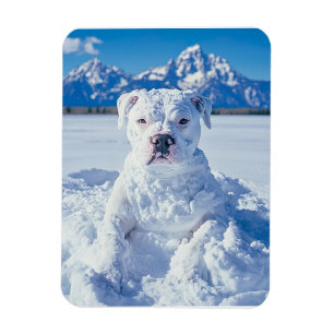 Magnet Flexible Noël Pitbull Chien Snowman