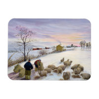 Nourrir des moutons en hiver