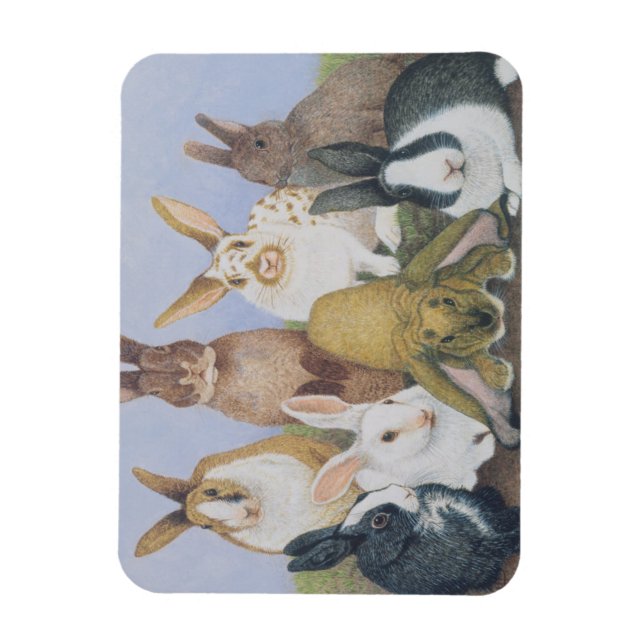 Magnet Flexible Nous sommes tous des oreilles (Vertical)