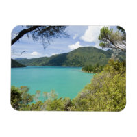 Nouvelle-Zélande, île du Sud, Marlborough Sounds.