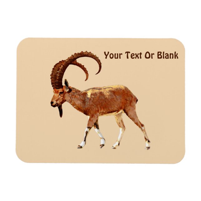 Magnet Flexible Nubian Ibex - Ein Gedi (Horizontal)