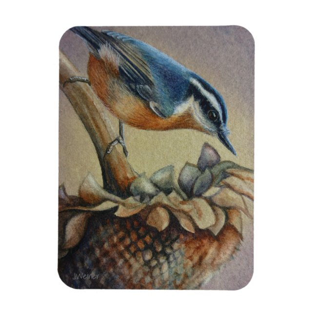 Magnet Flexible Nuthatch Oiseau et graines de tournesol Aquarelle  (Vertical)