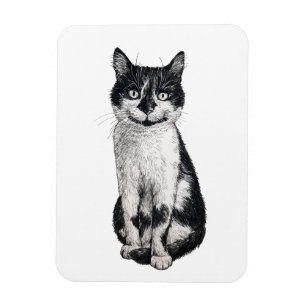 Magnet Flexible Ogie le chat