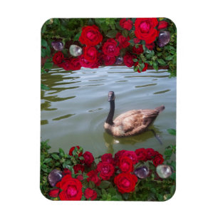 Magnet Flexible Oie sereine d'étang rose sauvage
