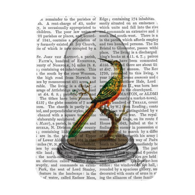 Magnet Flexible Oiseau Dans Bell Jar (Vertical)