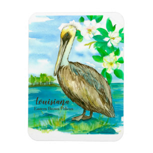 Magnet Flexible Oiseau de l'est Brown du Pélican Louisiane