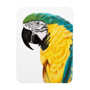 Magnet Flexible Oiseau tropical de perroquet