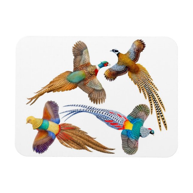 Magnet Flexible Oiseaux de faisan sauvage ornemental Premium Magne (Horizontal)