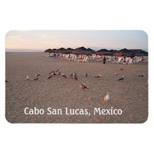 Magnet Flexible Oiseaux sur la plage de Cabo