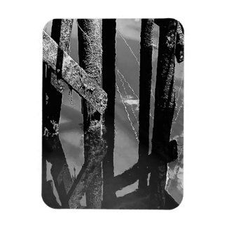 Magnet Flexible Old Wharf Pier Barnacle Beams Pilings Photo