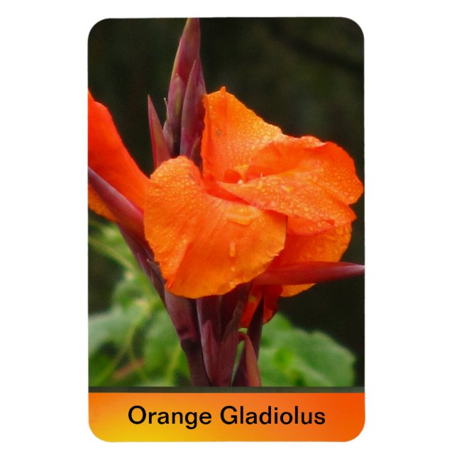 Magnet Flexible Orange Canna Flower (Vertical)
