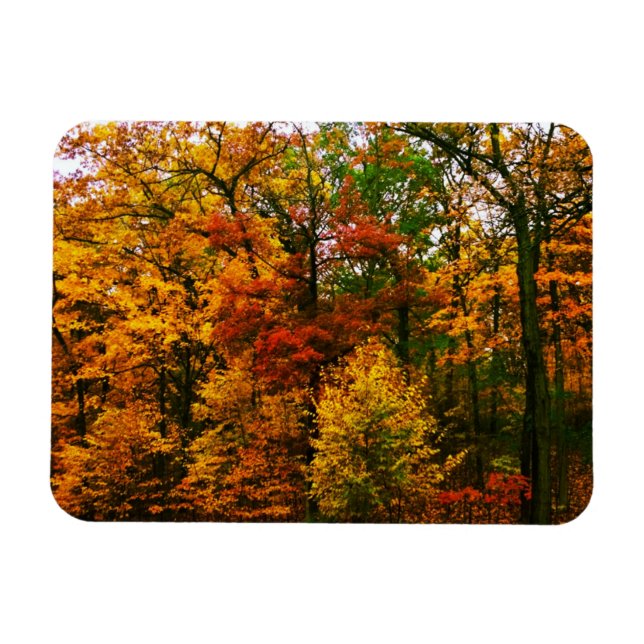 Magnet Flexible Oranges d'automne (Horizontal)