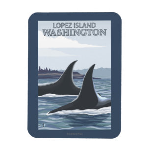 Magnet Flexible Orca Whales #1 - Lopez, Washington