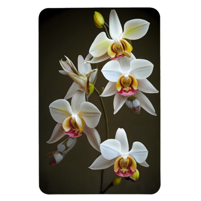 Magnet Flexible Orchidées Dendroium (Vertical)