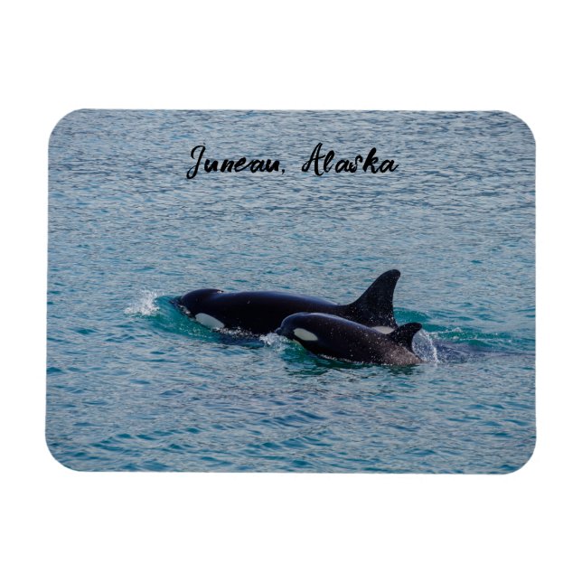 Magnet Flexible Orques - Juneau, Alaska - Souvenir de voyage (Horizontal)