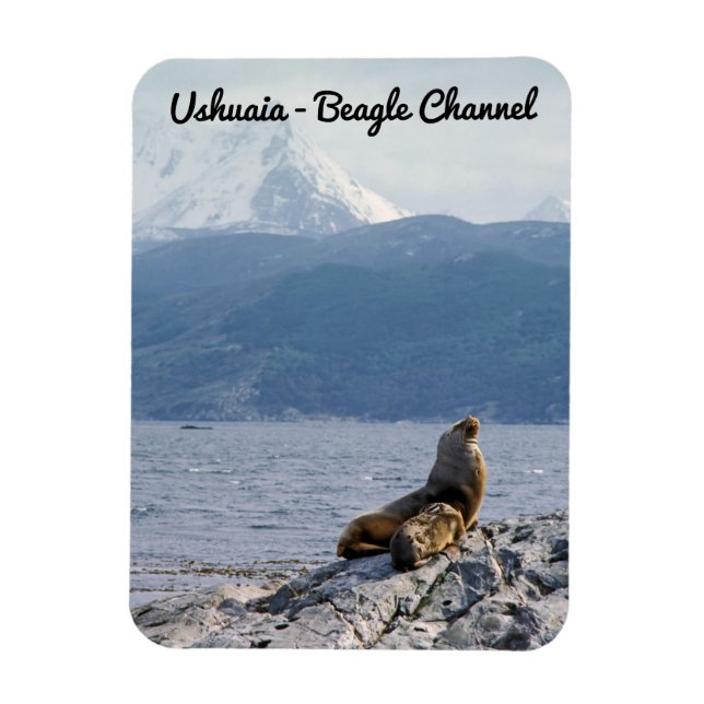 Magnet Flexible Otaries dans le canal beagle - Argentine (Vertical)