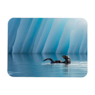 Magnet Flexible Otter de mer joueuse