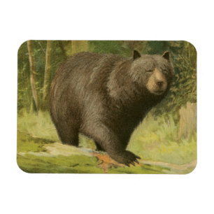 Magnet Flexible Ours noir sur un tronc d'arbre