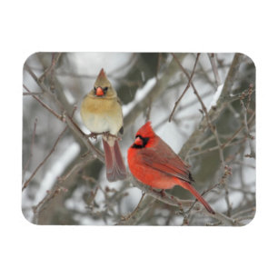Magnet Flexible Paire De Cardinaux Du Nord