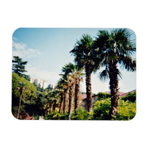 Magnet Flexible Palmeraie du jardin botanique Nikitsky dans le