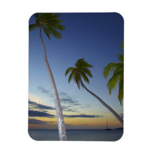 Magnet Flexible Palmiers et coucher de soleil, Plantation Island R