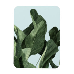 Magnet Flexible Palms Celadon