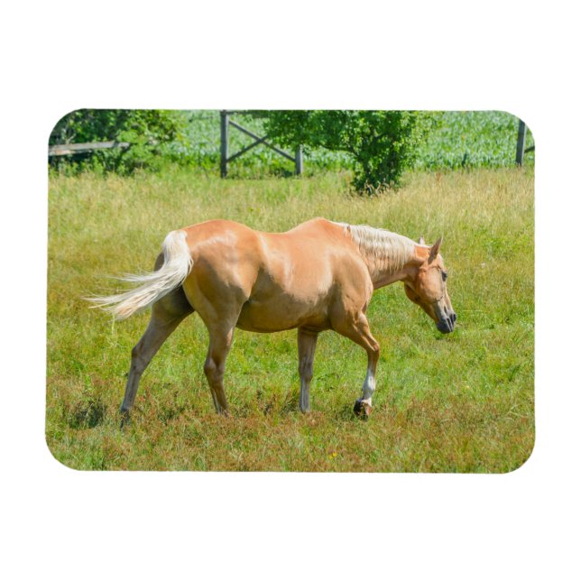 Magnet Flexible Palomino Farm Horse (Horizontal)