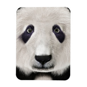 Magnet Flexible Panda roux