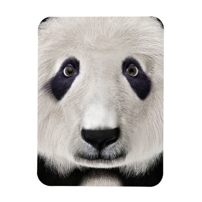 Magnet Flexible Panda roux (Vertical)