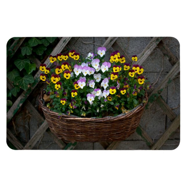 Magnet Flexible Panier avec Violas (Horizontal)