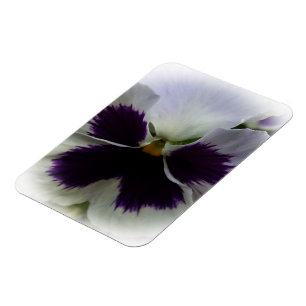 Magnet Flexible Pansement pourpre et blanc