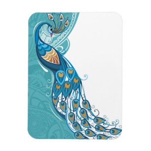 Magnet Flexible Paon sur l'illustration turquoise