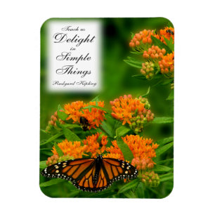 Magnet Flexible Papillon