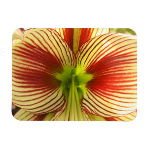 Magnet Flexible Papillon Amaryllis